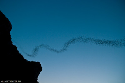 Гора миллиона летучих мышей в Хуа Хине 2