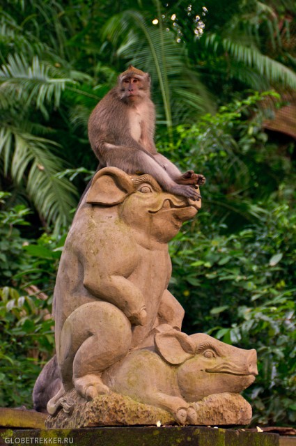 Священный лес наглых обезьян в Убуде