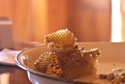 Про суровых сванских пчёл 10