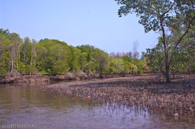 Круиз по речке Пранбури: порт, мангры и вараны