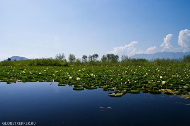 Озеро Дал: Сады Великих Моголов