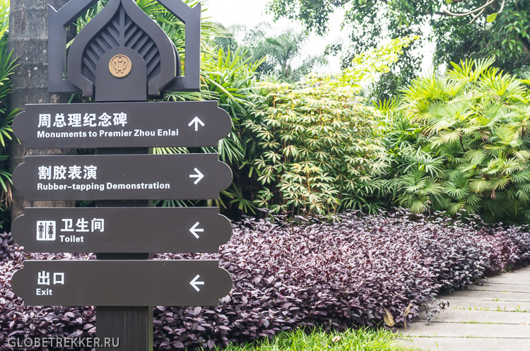 Ботанический Сад в Джинхонге: Как растут тропические фрукты