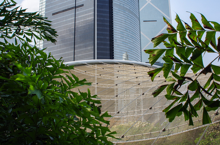 <p>Парки Гонконга: Коулун парк, зоопарк и ботанический сад</p>