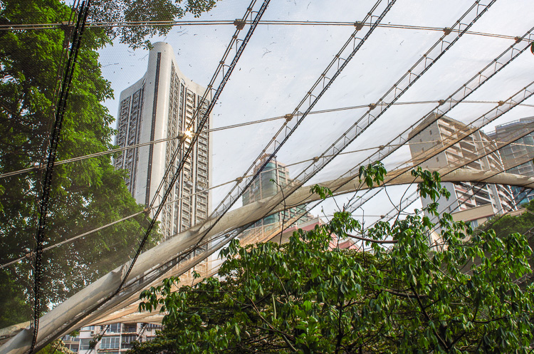 <p>Парки Гонконга: Коулун парк, зоопарк и ботанический сад</p>