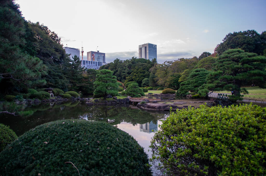 Токио, день 1: Храм, сад, небоскрёб и Хатико