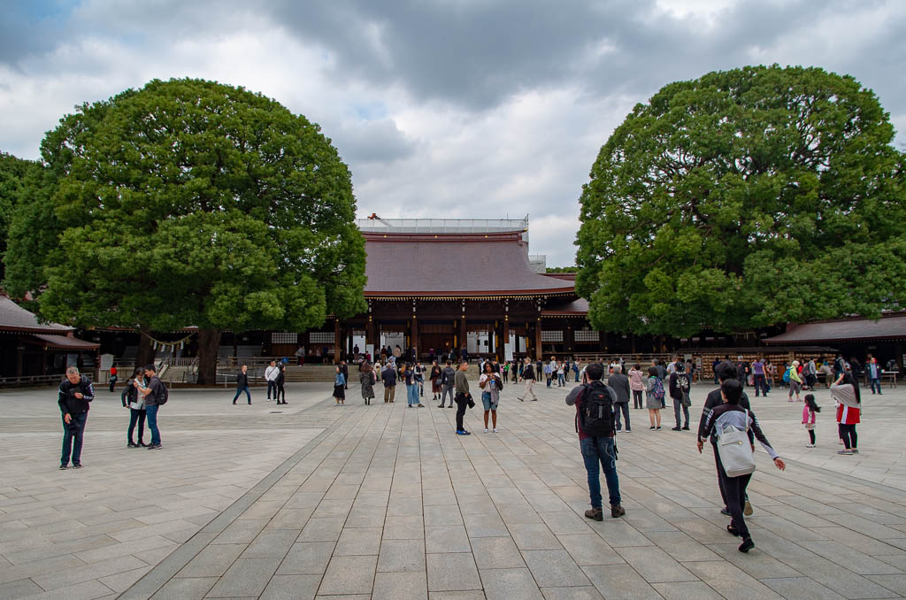 Токио, день 1: Храм, сад, небоскрёб и Хатико
