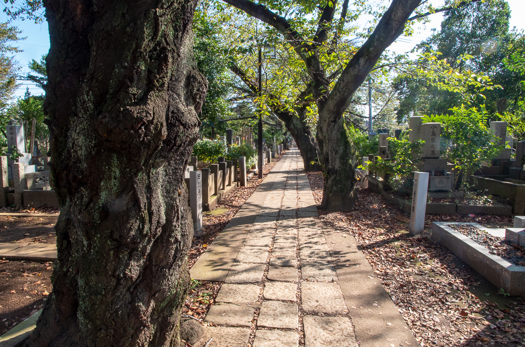 Токио, день 3: Снова сад, снова храм, и кладбище